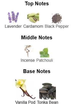 Paco Rabbane Invictus Victory Elixir