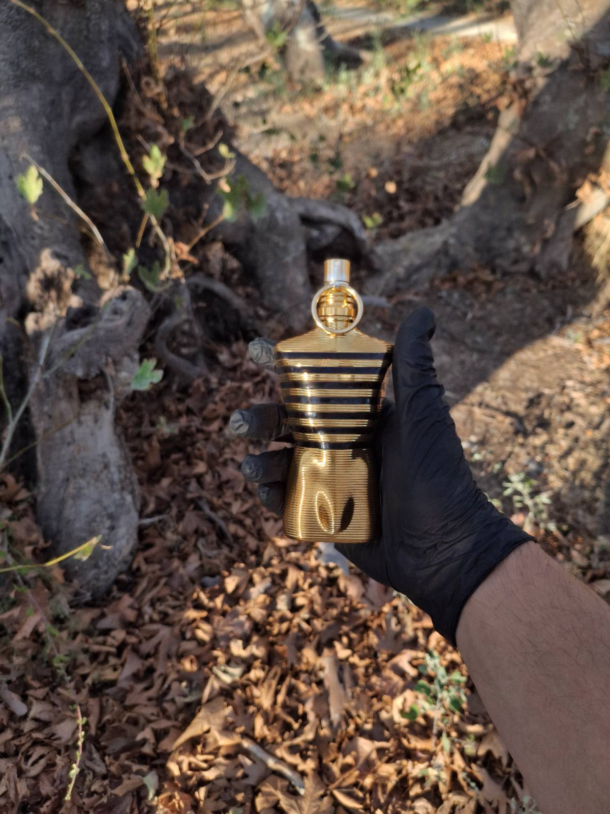 JPG Le Male Elixir