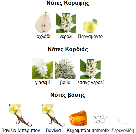 Prada Paradoxe Intense